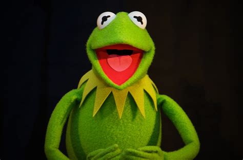 Kermit the frog - Kermit the Frog. 2,245,688 likes · 6,311 talking about this. Hi-ho! Welcome to the official Facebook page of me, Kermit the Frog! This page is a place for Disney fans. However, there are certain... 